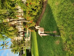 20200108_075258.jpg