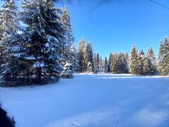 20211211_095248.jpg