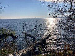 IMG_5741.jpg