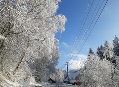 20211127_104358.jpg