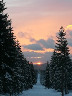 IMG_20220222_172410.jpg
