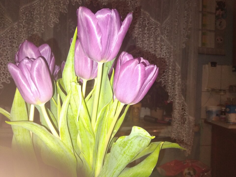 20220224_201338.jpg - Krzyszto1234
