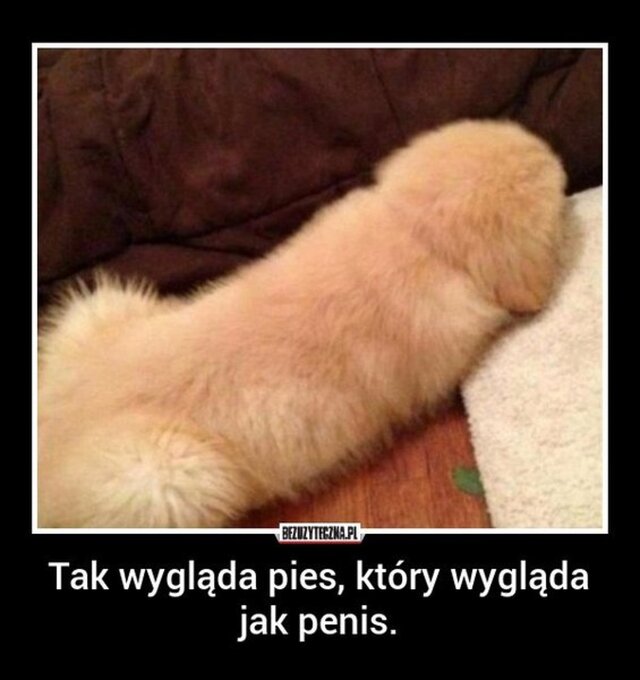 astigarrak