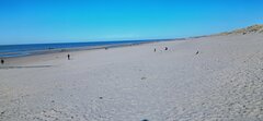 Plaża2.jpg