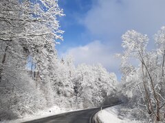 20211127_104117.jpg