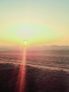 20220302_063736.jpg
