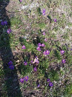 IMG_20220228_132104.jpg