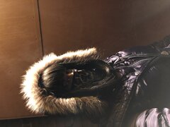E684A13A-CE4A-4865-B61B-5EE5FD3BF57A.jpeg