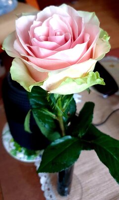 20220304_235745.jpg