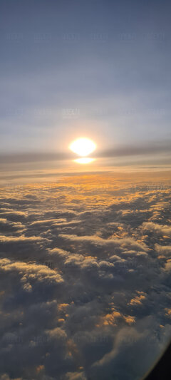 20220219_064424.jpg