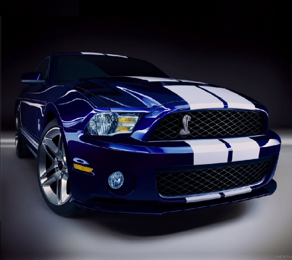 2010_Mustang-wallpaper-4616480.jpg - ParaWaw7584