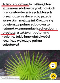 Zioła