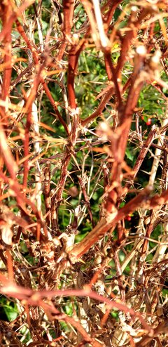 20220302_092950.jpg