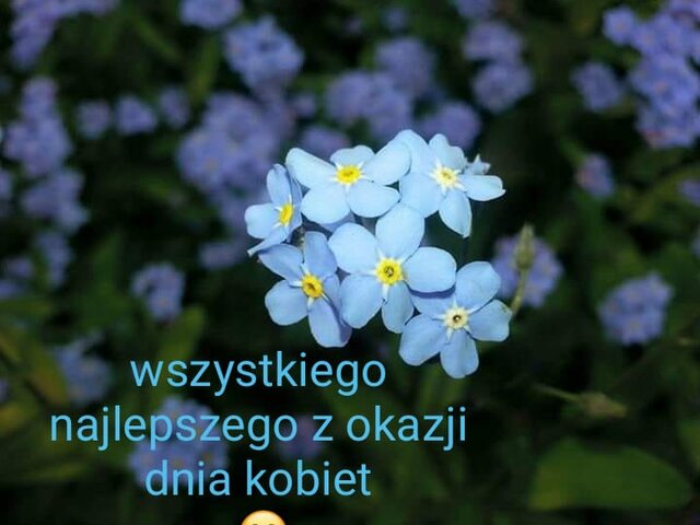 Dawid787878