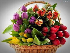kwiaty_1488959836-1552028687.jpg