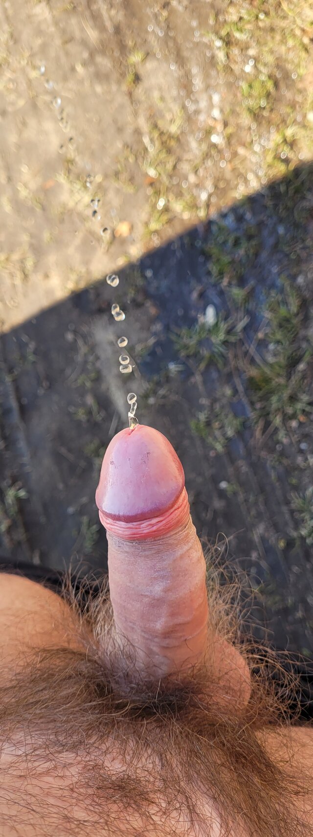 Squritsex