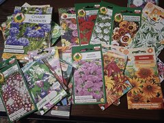 IMG_20220308_184019.jpg