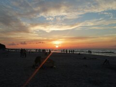 IMG_20200829_193639.jpg