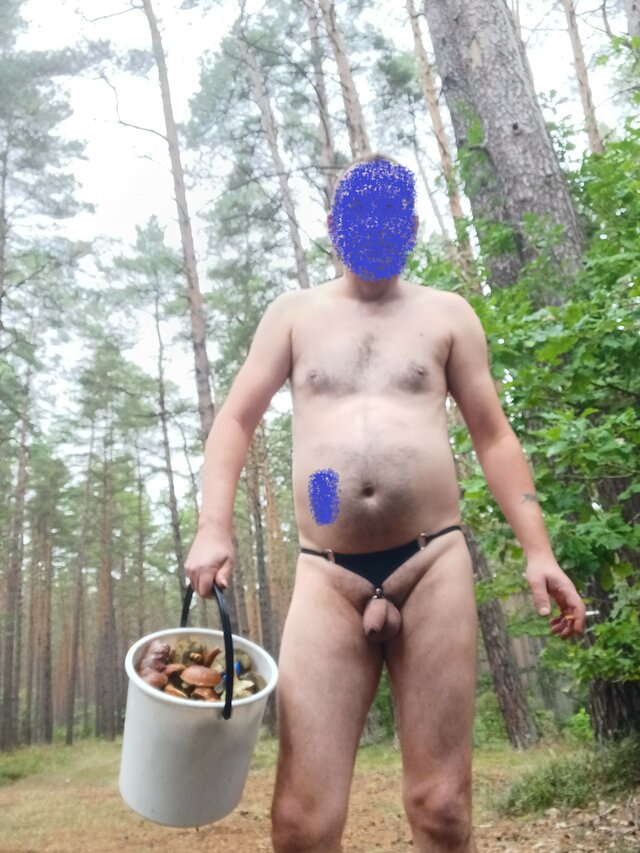 onpolice40