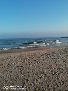 IMG_20220309_075113.jpg