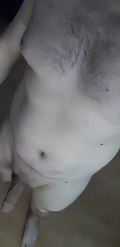 😁😁