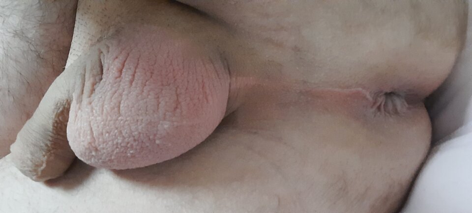 20220313_160443.jpg - rafal1410