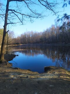 IMG_20220313_160418.jpg