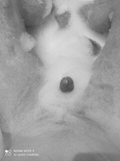 IMG_20220314_221958.jpg