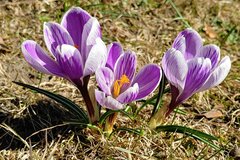 20220313_125742_HDR_(1)_compress32.jpg
