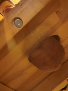 IMG_20220315_011210.jpg