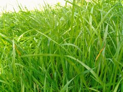 IMG_20160725_113303.jpg