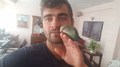 IMG-20171107-WA0024.jpeg