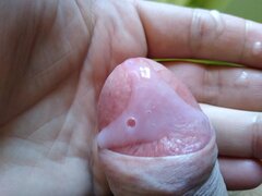 IMG_20220320_114749502.jpg