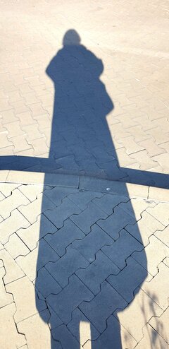 20220322_103510.jpg