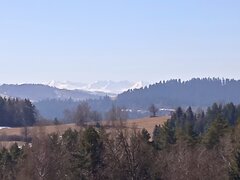 IMG_20220323_122245.jpg
