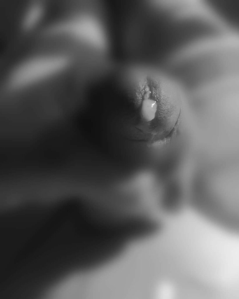 received_538623217083243.jpeg - Tomrea40
