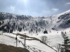 D2E4D574-40B4-424C-962F-4CA5A37EADF3.jpeg