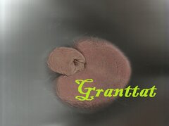 Granttat