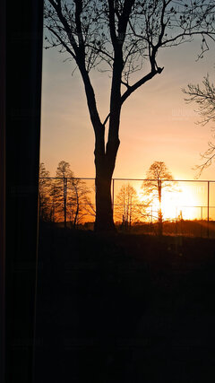 IMG_20220326