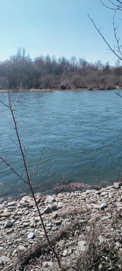 IMG20220328151053.jpg