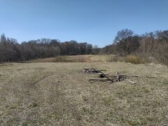 IMG_20220328_131105531_HDR.jpg