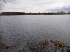IMG_20220329_133229_835.jpg