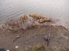 IMG_20220329_133158_719.jpg