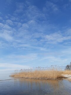 20220327_161145.jpg