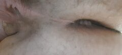 20220329_154648.jpg