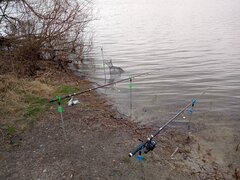 IMG_20220329_153819_541.jpg