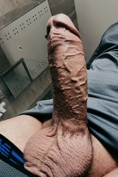 438_1000.jpg