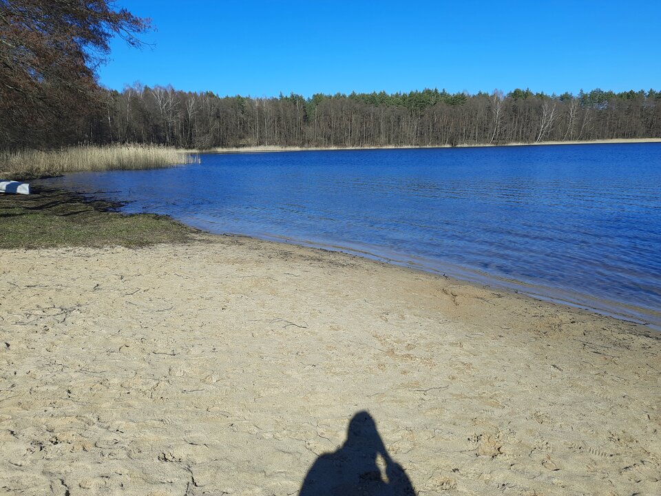 20220310_122342.jpg - gregor31