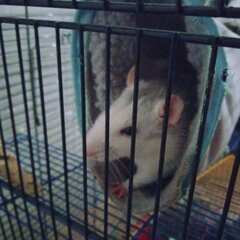 IMG_20220328_030838.jpg