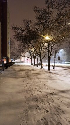 IMG_2022